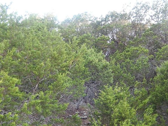 2nd image of 21005 Stone Cliff Dr