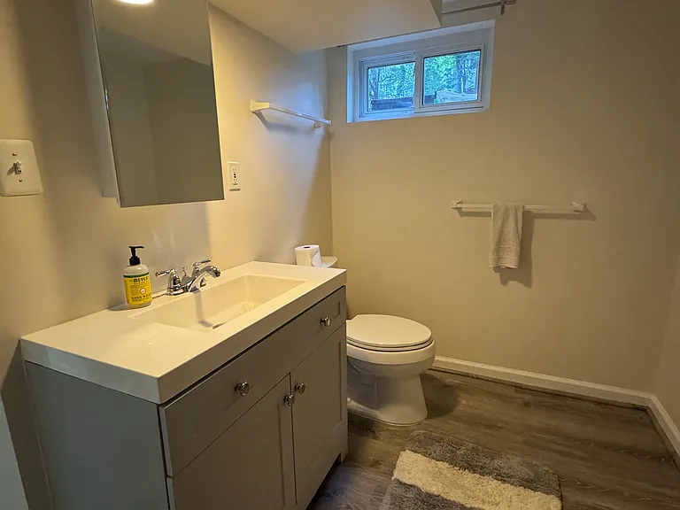 Basement Half Bathroom