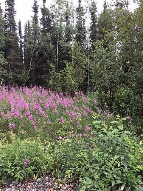 2nd image of 35243 Alaskan View Ln