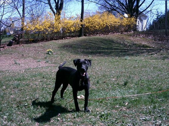Patio to back of property