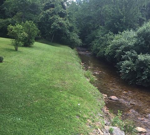 Chestnut Creek
