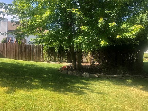 Rear left yard view. 