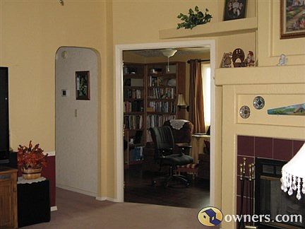 Living room, library and fireplace