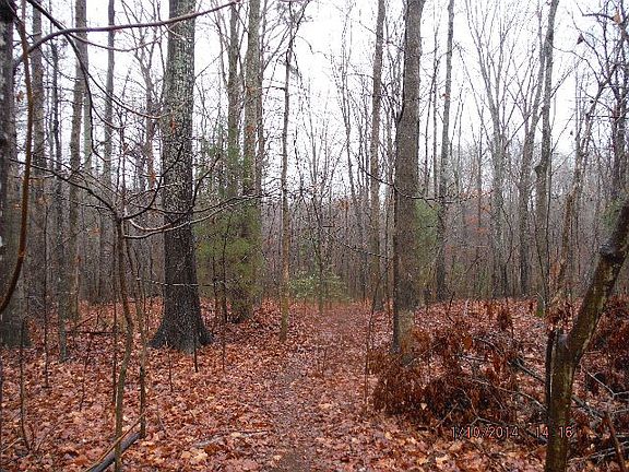 2nd image of 1345 Wildale Ln