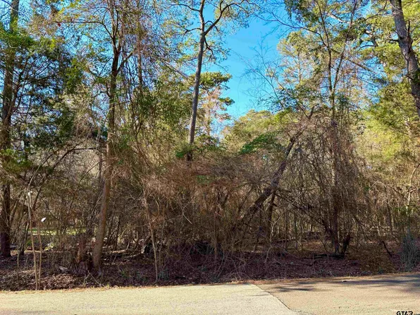 17428 Flaming Tree Way, Flint, TX 75762