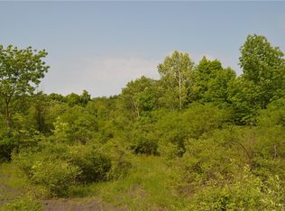 25 Barent Winne Rd Lot 29, Selkirk, NY 12158