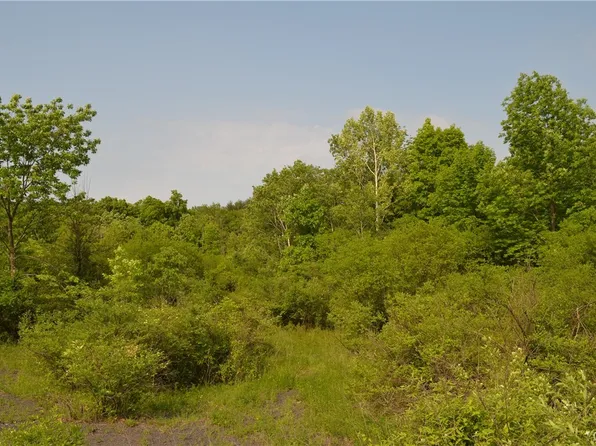 25 Barent Winne Rd Lot 29, Selkirk, NY 12158