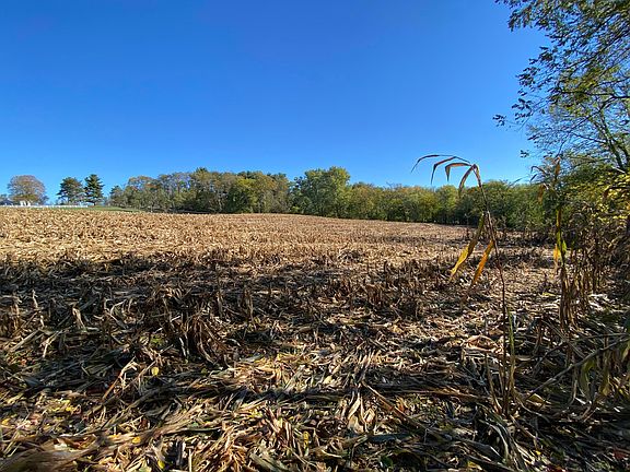 2nd image of 1764 Hallie Ln