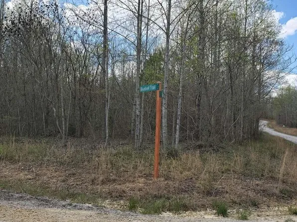 705 Soak Creek Ln, Grandview, TN 37337