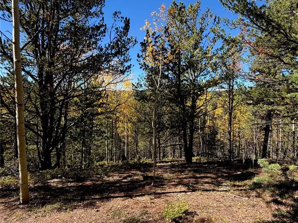 773 Timber Ridge Rd, Divide, CO 80814