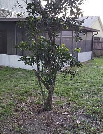 4th image of 10013 Little Teak St