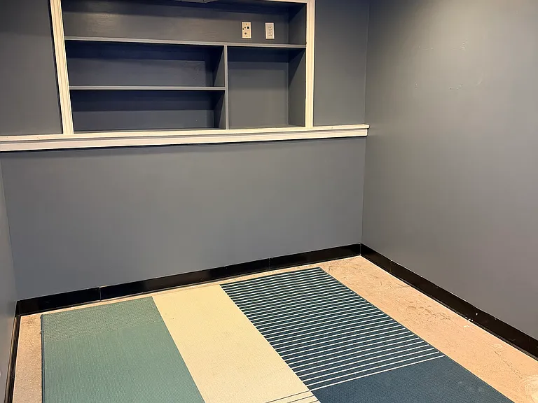 shelving in downstairs