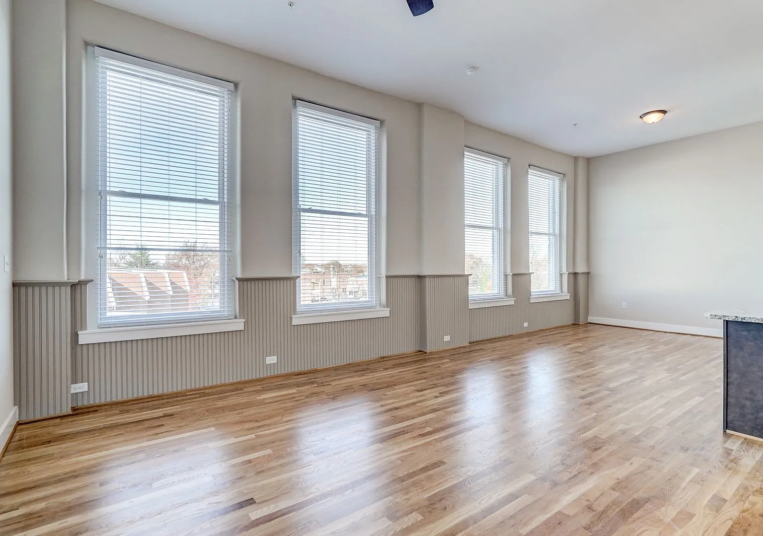 10 W Leigh St, Richmond, VA 23220 — Photo 3
