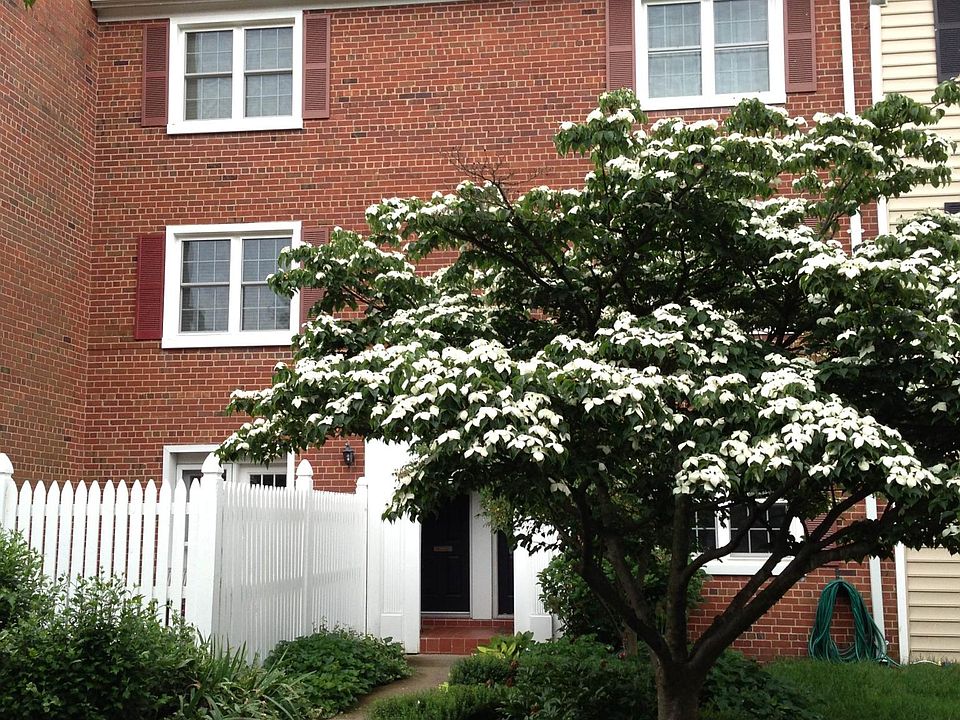 Outside view of apartment