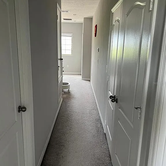 393 Evertree Loop — Photo 19