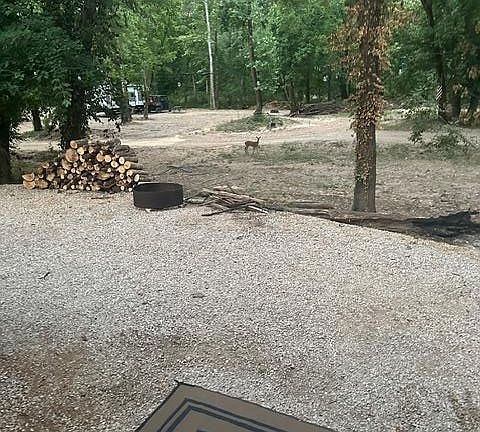 4th image of LOT 39 Current River Rd