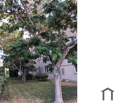 1 bed, 650 sqft, $2,080 — Photo 3