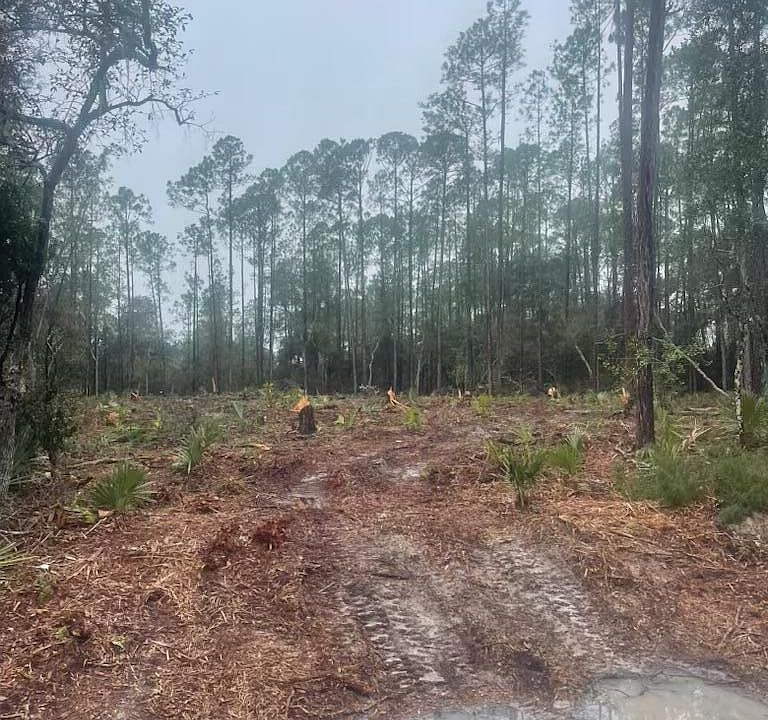 2nd image of 406 Whispering Pines Rd