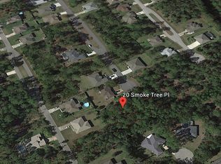 20 Smoke Tree Pl, Palm Coast, FL 32164