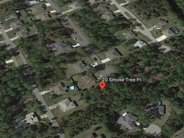 20 Smoke Tree Pl, Palm Coast, FL 32164