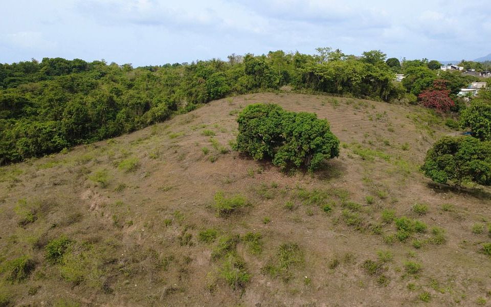 1st image of Finca Sr 185 Km 3.0 Int Campo Rico Ward