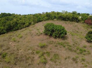 Finca Sr 185 Km 3.0 Int Campo Rico Ward, Canovanas, PR 00729