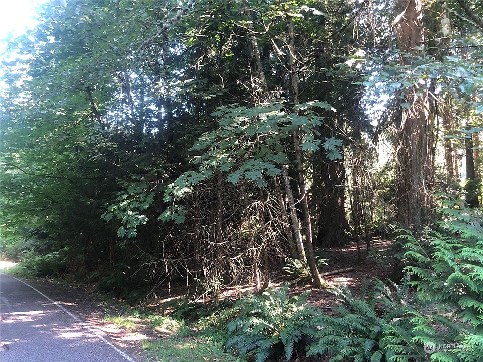 2nd image of 6 Plum Lane