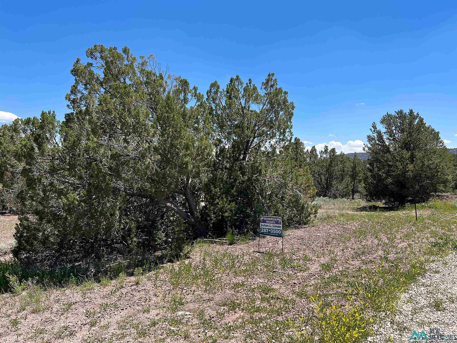 Sunflower Timberlake, Ramah, NM 87321 MLS 20233403 Zillow