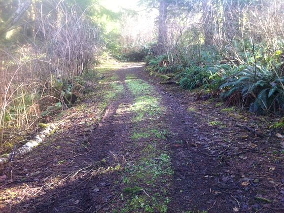 3rd image of NE 22nd Ave