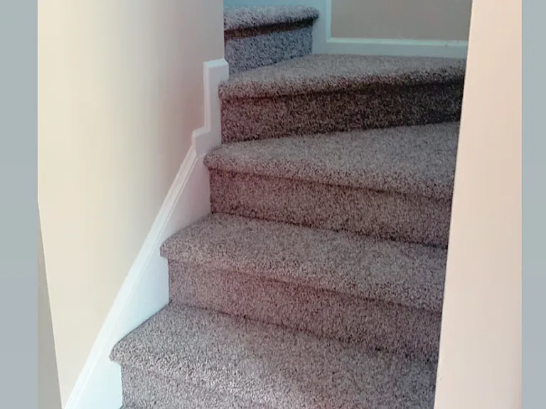 4325 Craven Hill Dr — Photo 7