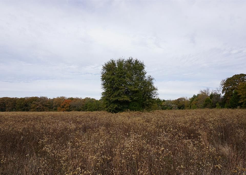 1st image of County Road 1316