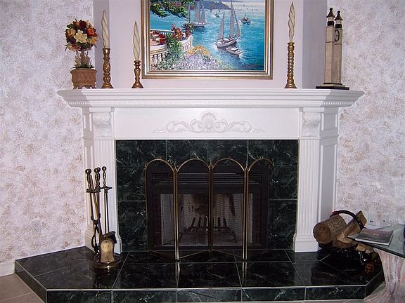 Wood-burning Fireplace