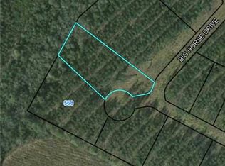 0 Big Horse Dr, Waynesville, GA 31566