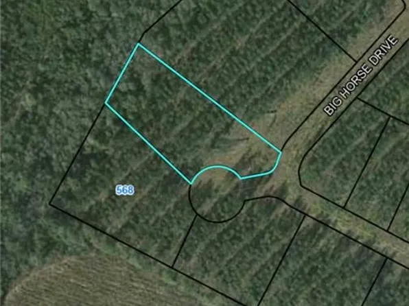 0 Big Horse Dr, Waynesville, GA 31566