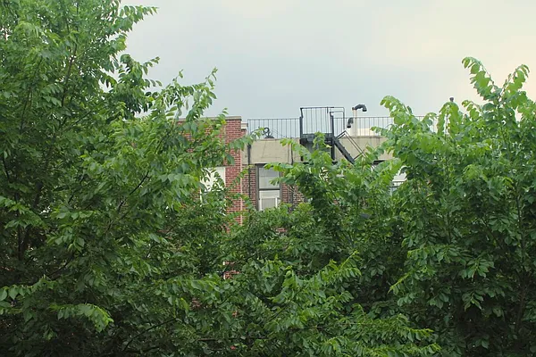 Rented by Urban Real Estate Inc | media 24