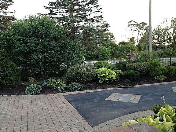 Front Garden & Driveway
