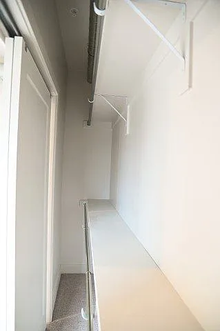 The Revival — Photo 282