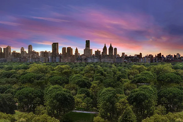 Sold by Douglas Elliman | media 35