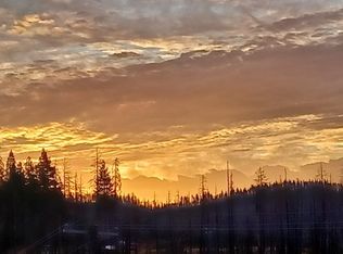 6855 E Tyler Dr, Grizzly Flats, CA 95636