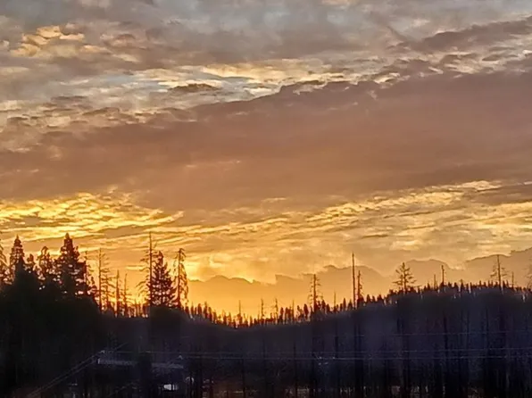 6855 E Tyler Dr, Grizzly Flats, CA 95636