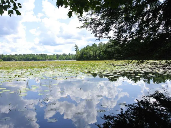 6870 Connors Rd, Three Lakes, WI 54562