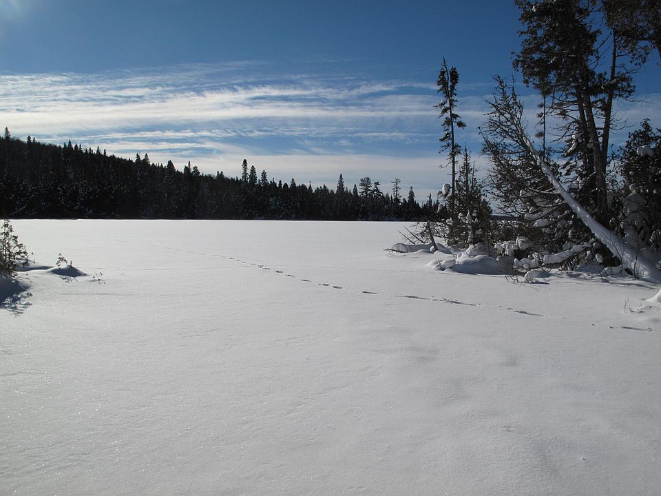 1st image of 206 E Deeryard Lake