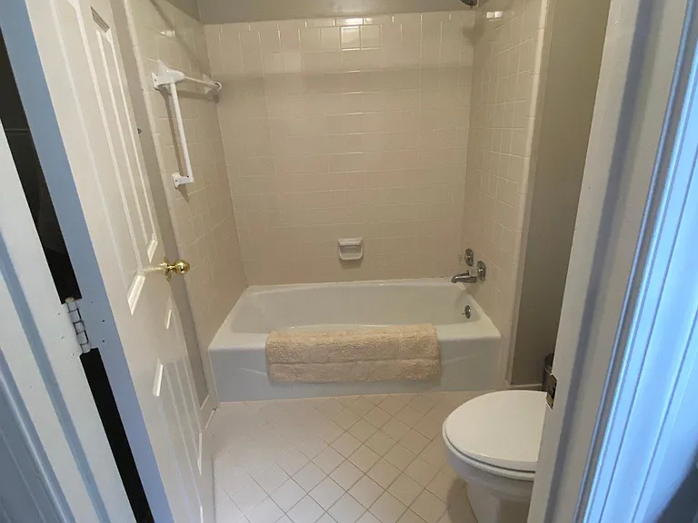 Master bathroom toilet and tub.