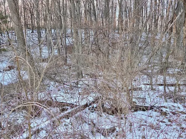 0 Foxglove Rd, Altoona, PA 16601