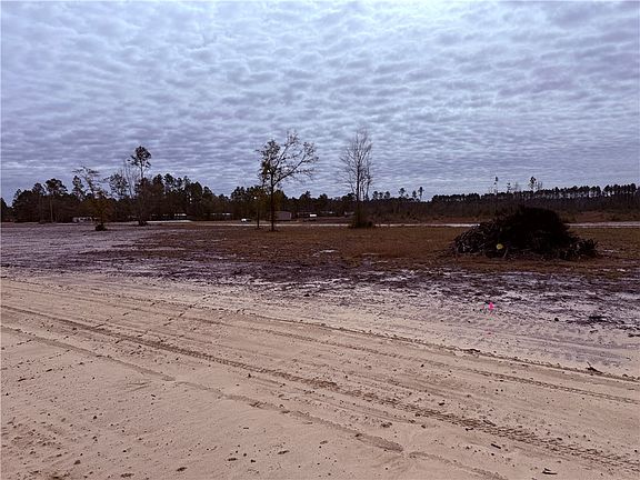 4th image of 13 Wiregrass Ln