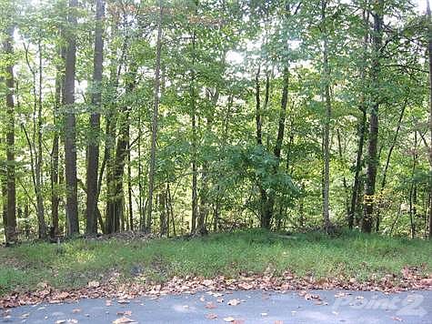 Lake Arrowhead Land Listing 009