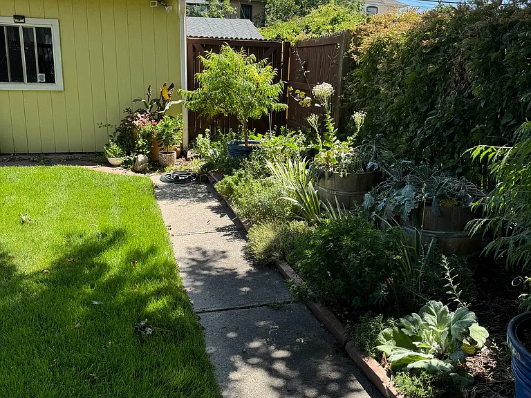 Side yard garden to oversized 2 stall garage, lush gardens including vegetable patch