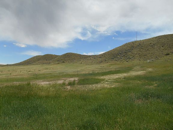 Pasture for your horses