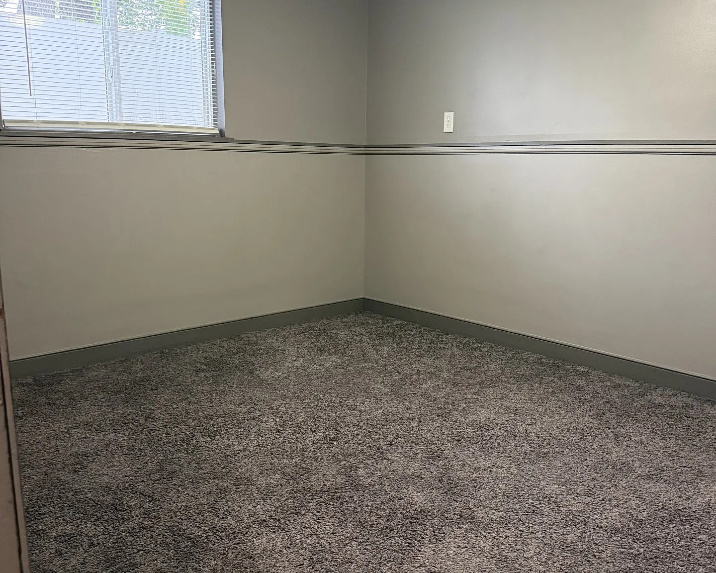 2 bed, 800 sqft, $1,000 — Photo 3