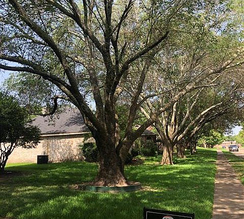 2nd image of 8910 Briarwood Dr